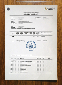 University of Surrey transcript