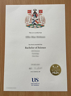 University of Sussex degree