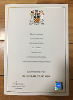 University of Winchester degree