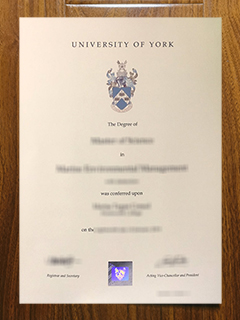 University of York degree