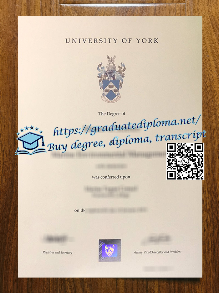 University of York diploma