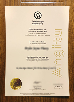 Te Wānanga o Aotearoa certificate