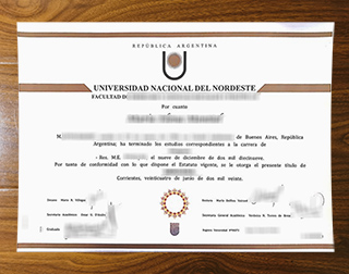 Universidad Nacional del Nordeste degree