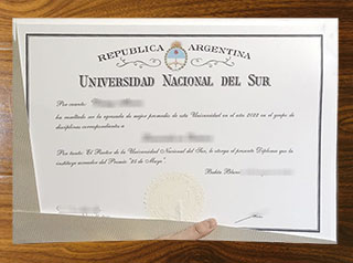 Universidad Nacional del Sur degree