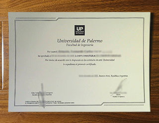 Universidad de Palermo degree