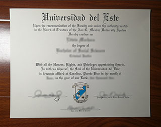 Universidad del Este degree