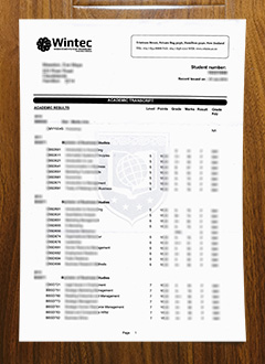 Waikato Institute of Technology transcript