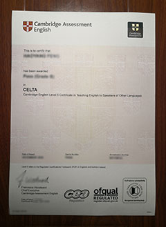 Cambridge CELTA certificate