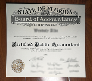 Florida CPA certificate