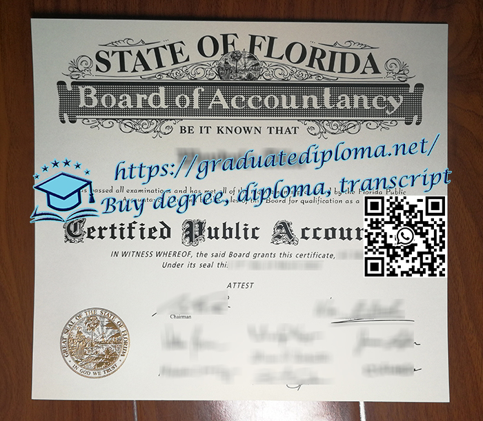 Florida CPA certificate