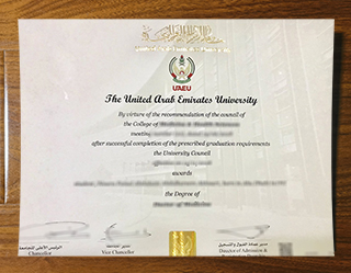 United Arab Emirates University degree