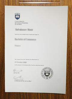 University of Wollongong in Dubai degree