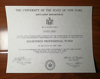 Registered Professional Nurse License