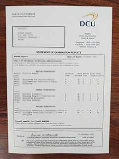 Dublin City University transcript