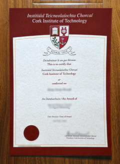 Cork Institute of Technology diploma