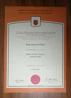 Institute of Technology Carlow diploma