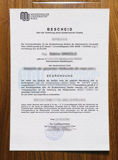 Medizinische Universität Wien diploma