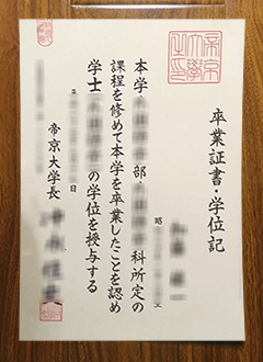 Teikyo University diploma