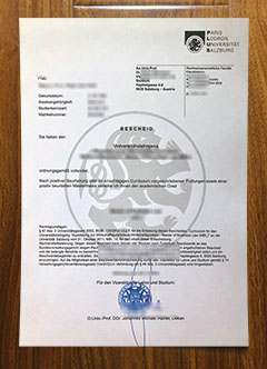 Universität Salzburg diploma