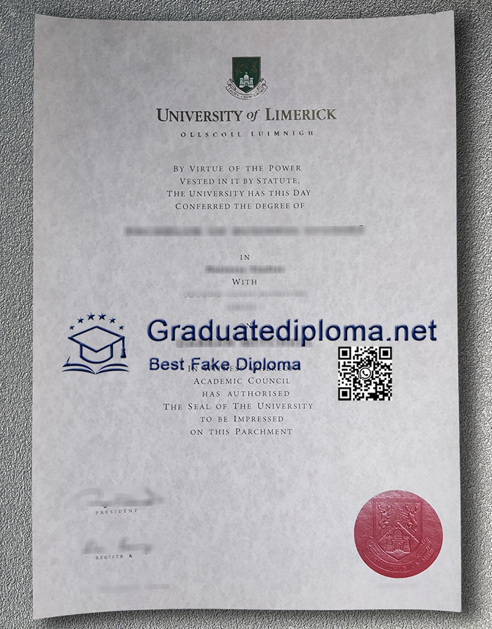 University of Limerick degree