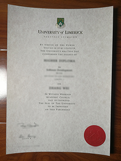 University of Limerick diploma