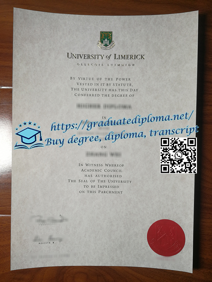 University of Limerick degree