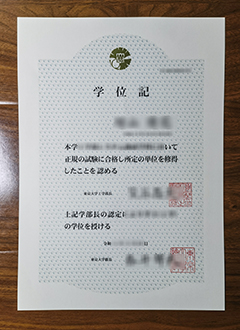 University of Tokyo diploma