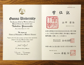 Gunma University diploma