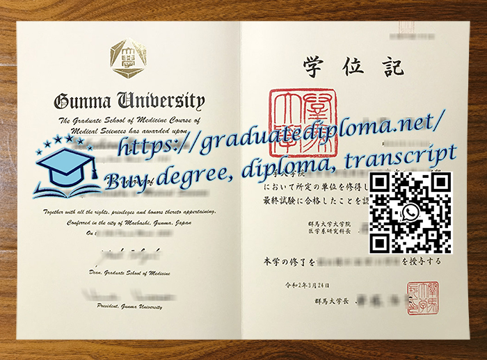 Gunma University degree