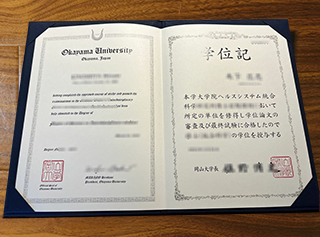 Okayama University diploma