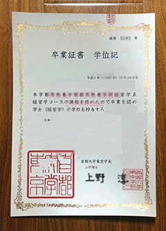 Tokyo Metropolitan University diploma