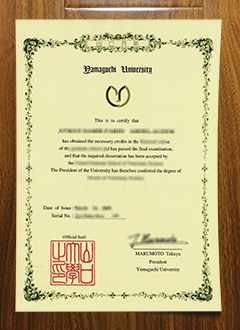 Yamaguchi University diploma