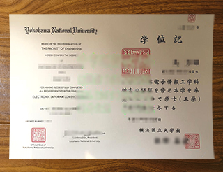 Yokohama National University diploma