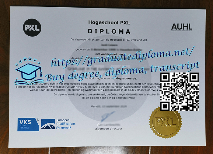 Hogeschool-PXL-degree