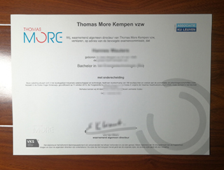Thomas More Hogeschool degree