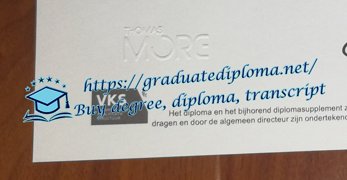 Thomas More Hogeschool seal