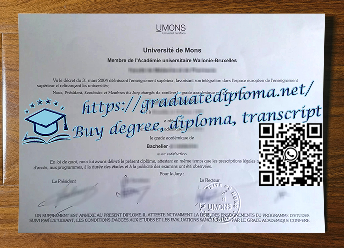 Universite-de-Mons-diploma
