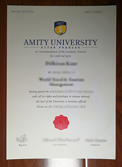 Amity University diploma