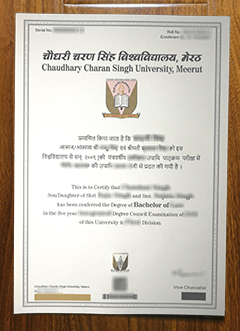Chaudhary Charan Singh University diploma