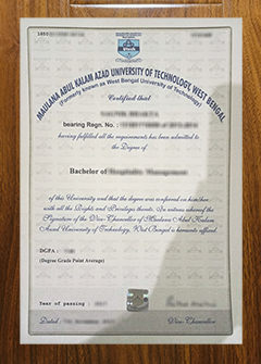 Maulana Abul Kalam Azad University of Technology diploma