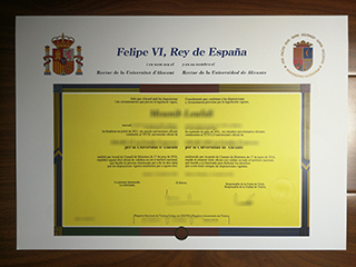Universidad de Alicante degree