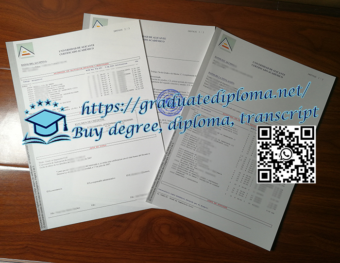 University of Alicante transcript