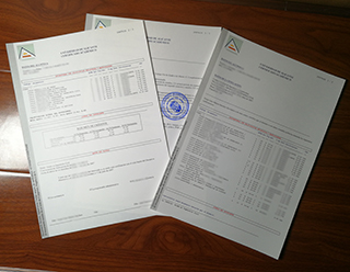 University of Alicante transcript