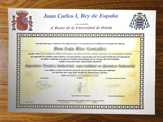 Universidad de Oviedo degree