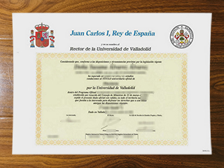 Universidad de Valladolid degree