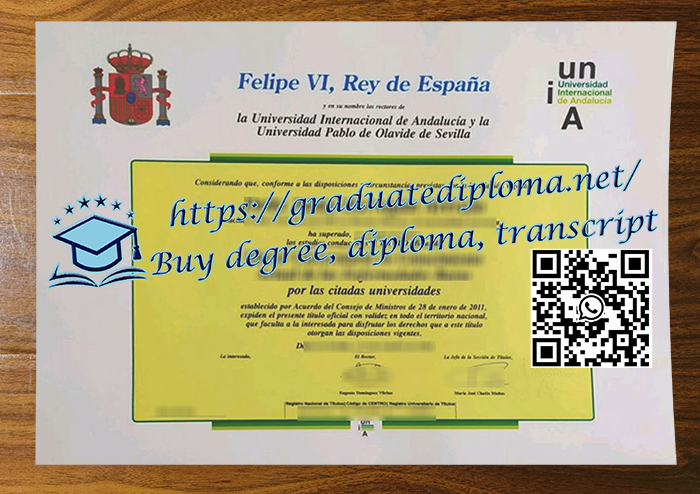 Universidad internacional de Andalucia diploma