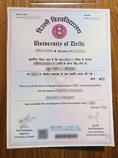 University of Delhi diploma