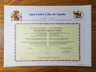 Universidad Miguel Hernandez de Elche diploma