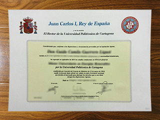 Universidad Politécnica de Cartagena degree