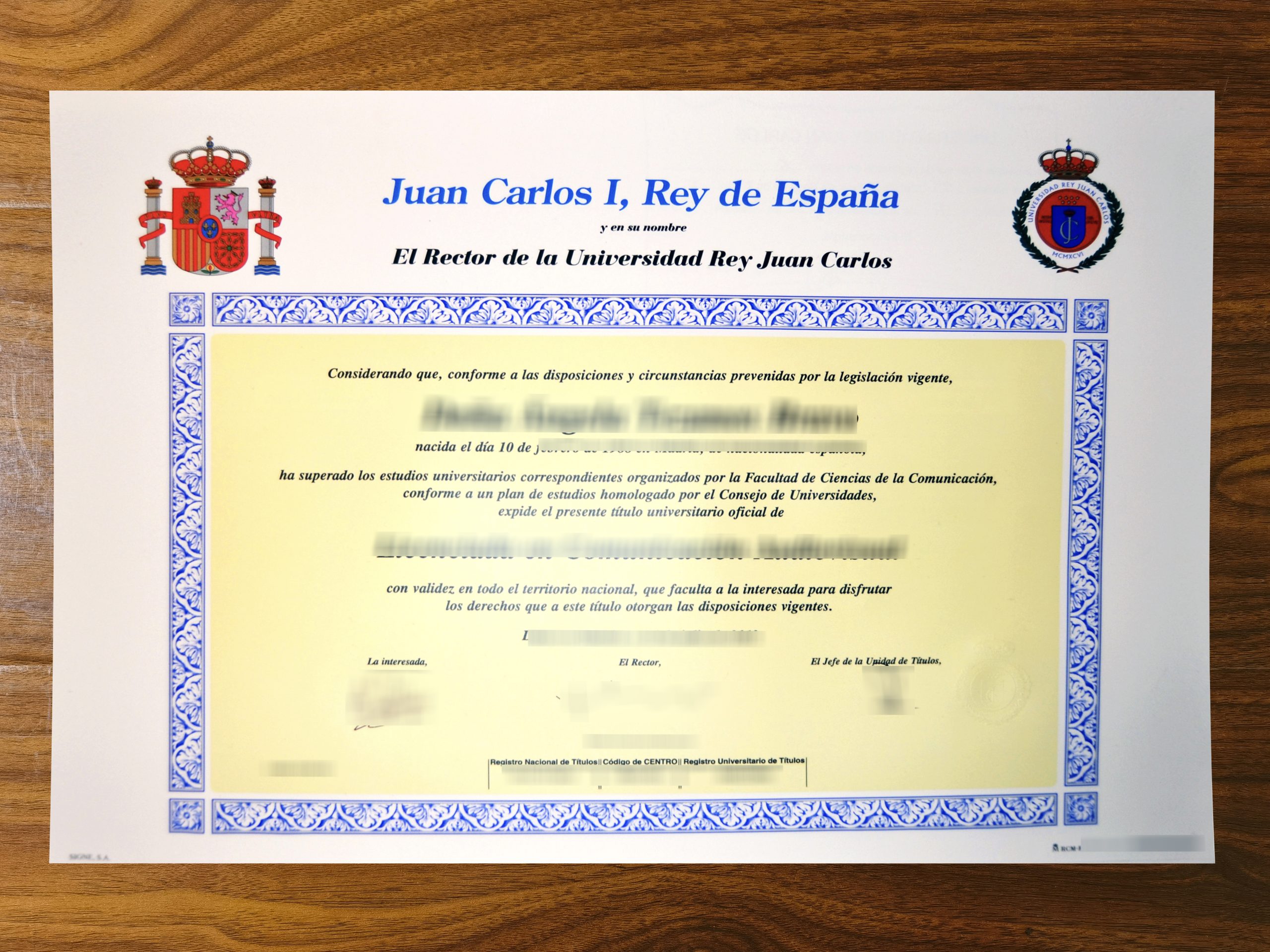 Universidad Rey Juan Carlos degree